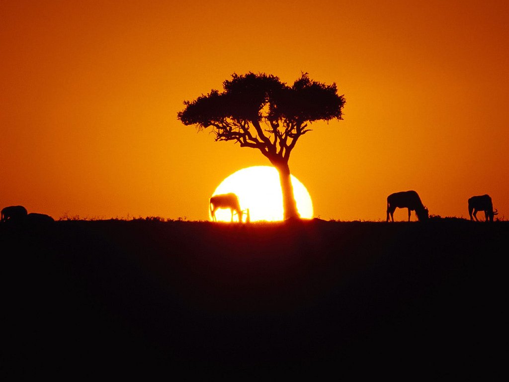 Golden Horizon